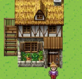survival game